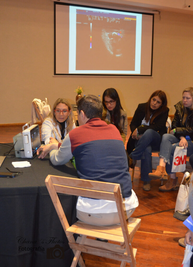 taller de ecoguiada jornada de accesos vasculares 2023