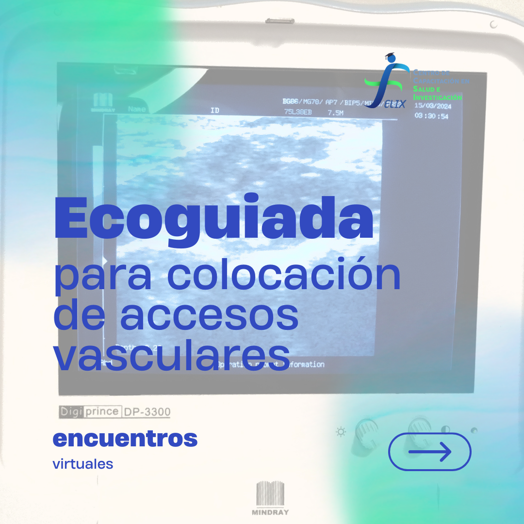 curso ecoguiada para accesos vasculares